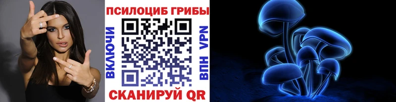 Псилоцибиновые грибы Cubensis  Купить где  Гагарин 