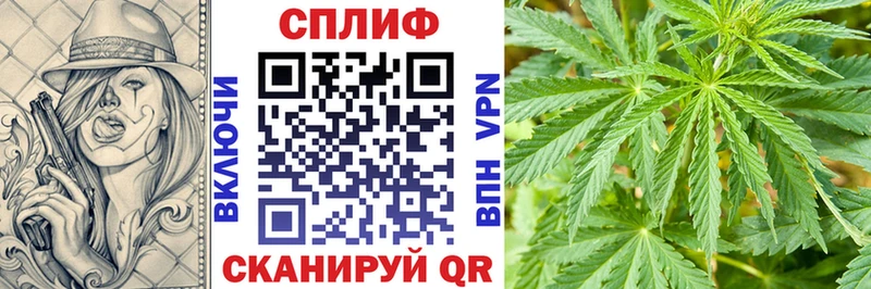 Марихуана MAZAR  Купить где  Гагарин 